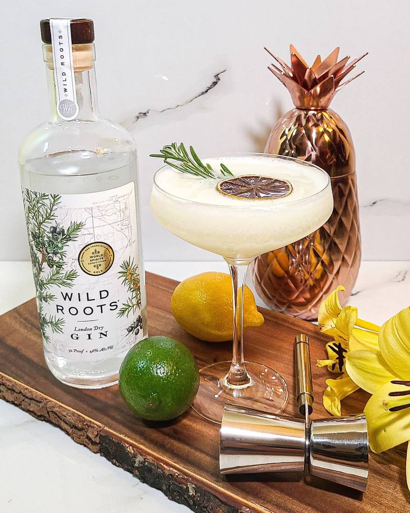 Wild Roots Gin cocktail styling campaign